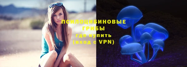 дурь Пестово