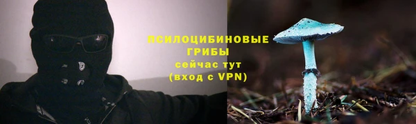 дурь Пестово