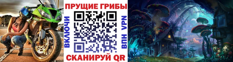 Галлюциногенные грибы MAGIC MUSHROOMS  Купить  Реж 